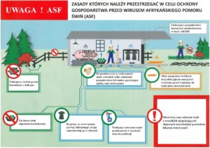 Plakat afrykański pomór świń