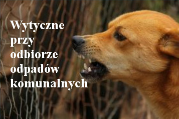 wytyczneodpady
