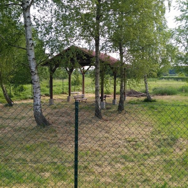 galeria zdjec