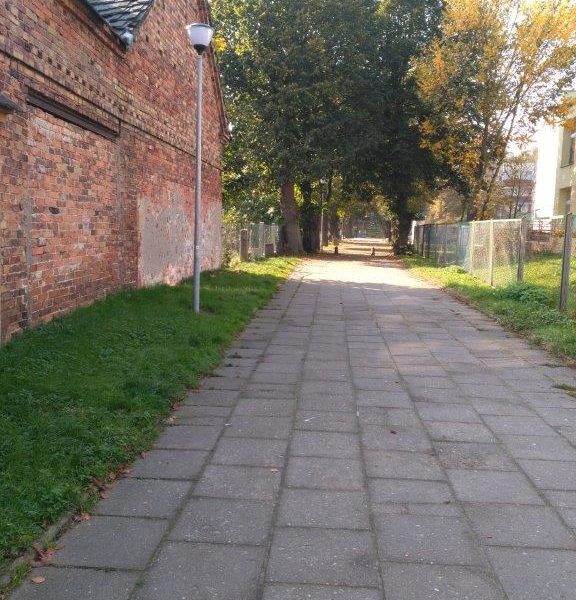 galeria zdjec