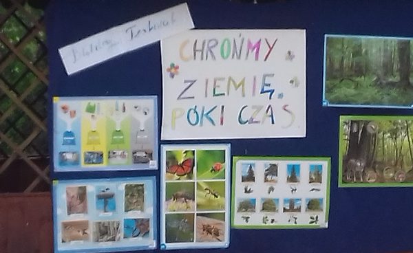 galeria zdjęć