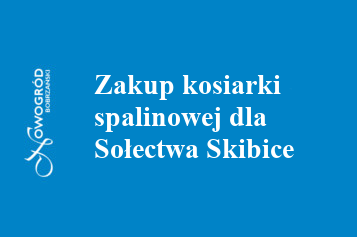 skibice