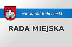 Sesja Rady Miejskiej